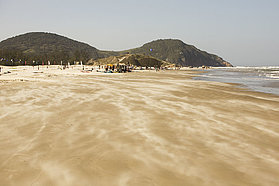 Streaks of sand blowing across the beach