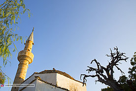 Morning at the Mosque