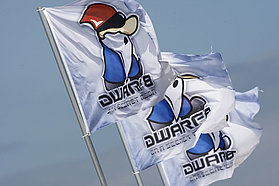 Dwarf 8 flags