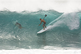 CV08 wv McKercher stand up paddle Mckercher stand up paddle