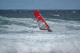 SUI4 FishBowlDiaries Z9D5571