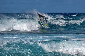 HI FishBowlDiaries  Z9D2847-Fish-Bowl-Diaries