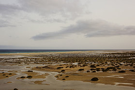 F09 ls Evening low tide Evening low tide