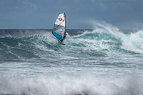 CAN99 FishBowlDiaries Z9D5796