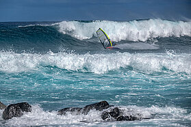 HI FishBowlDiaries  Z9D2506-Fish-Bowl-Diaries