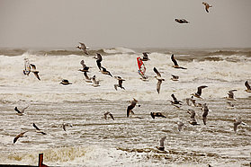 KM11 ls Spot the sailor Spot the sailor