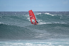 B5 FishBowlDiaries Z9D5697