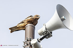 Checking the action 00154