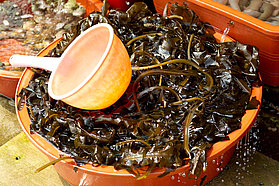 K12 ls Anyone for seaweed? Anyone for seaweed