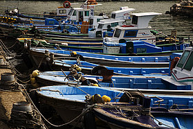 Local fishing boats