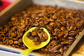 Lunch...Korean style