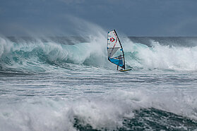 CAN99 FishBowlDiaries Z9D5797