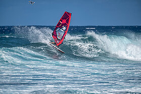 F3003 FishBowlDiaries  Z9D2916-Fish-Bowl-Diaries