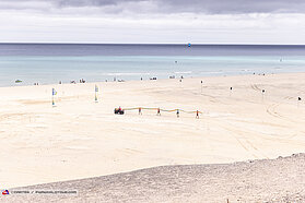 The sausage arrives 1186