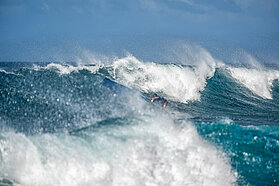 E91 FishBowlDiaries  Z9D8255-Fish-Bowl-Diaries