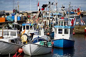 Local fishing fleet