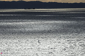 Morning session 00152