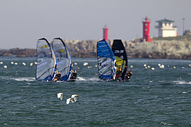 K12 sl Birds fly by Birds fly by