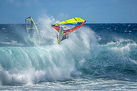 E225 FishBowlDiaries  Z9D4302-Fish-Bowl-Diaries