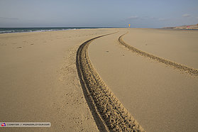 Tracjks in the sand