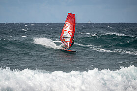 B5 FishBowlDiaries Z9D7206