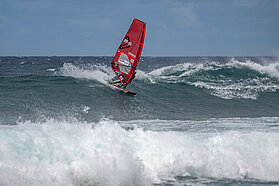 B5 FishBowlDiaries Z9D5811