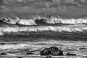 MASTERS FishBowlDiaries  Z9D8691-Fish-Bowl-DiariesBW