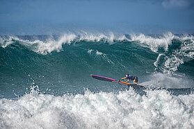 K89 FishBowlDiaries  Z9D3958-Fish-Bowl-Diaries