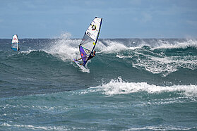 F293 FishBowlDiaries Z9D5880