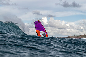 HI101 FishBowlDiaries Z8D3510