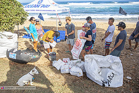 Collecting beach clean bags