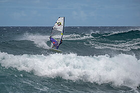 F293 FishBowlDiaries Z9D5713