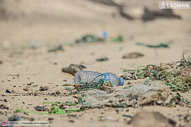 Trash on the beach
