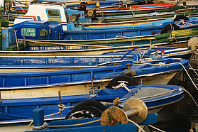 Local boats