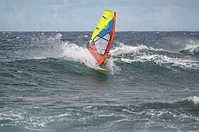 F181 FishBowlDiaries Z9D7125