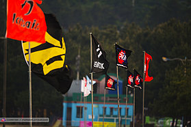Flags