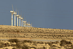 Fuerteventura flags