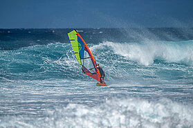 MISC FishBowlDiaries  Z9D2679-Fish-Bowl-Diaries