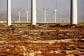 The Pozo windmills