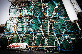 Fishing nets