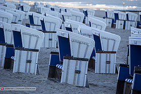 Sylt chairs