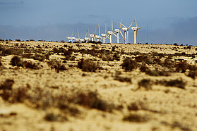 The Sotevento windmills