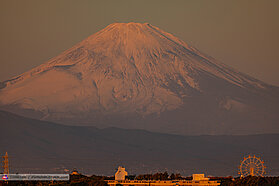 Mount Fuji 1259