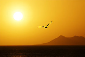 Bonaire sunset